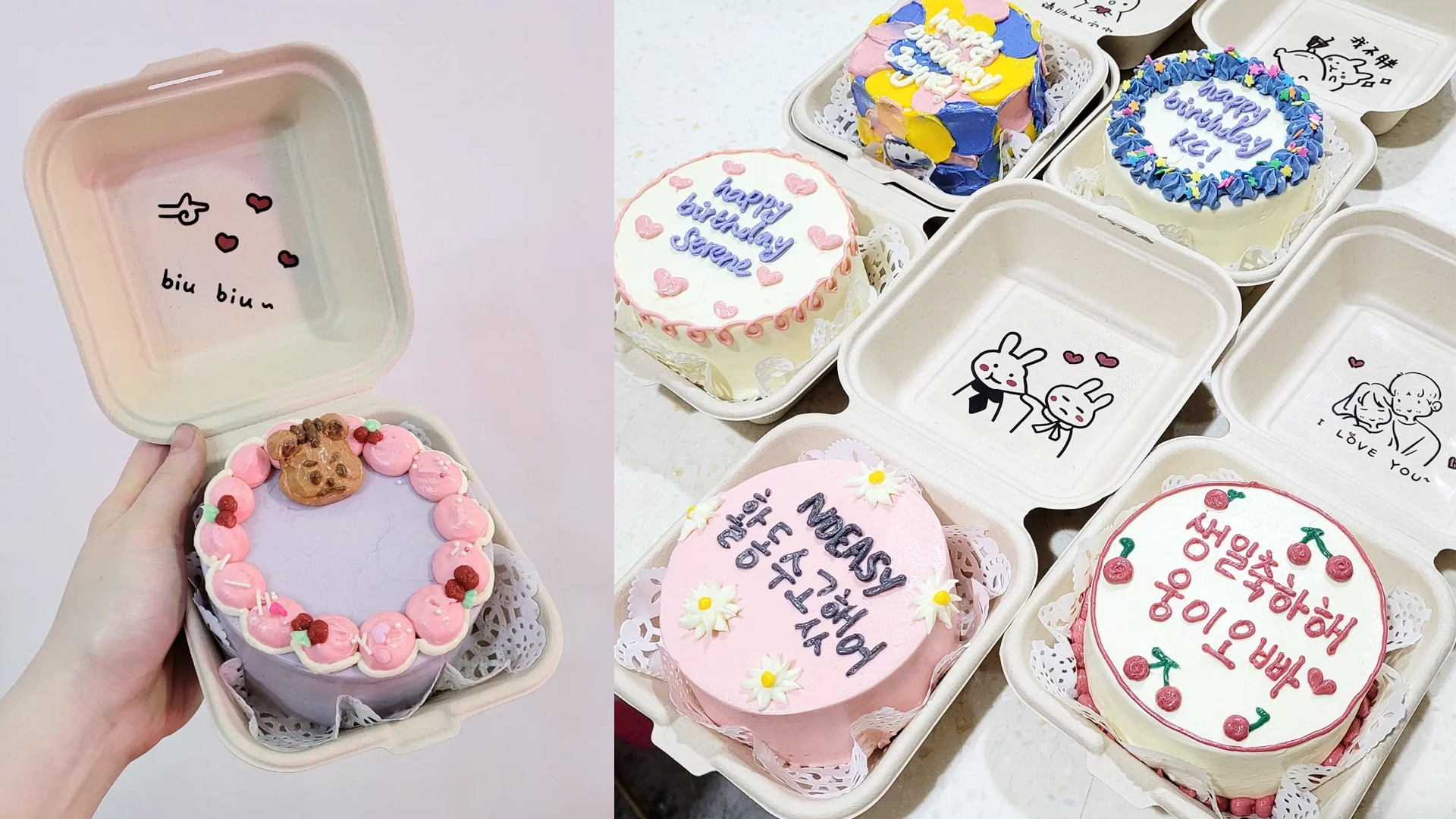 MasterClass Korean Cake Bento Cakes Multiple Designs Nanatang