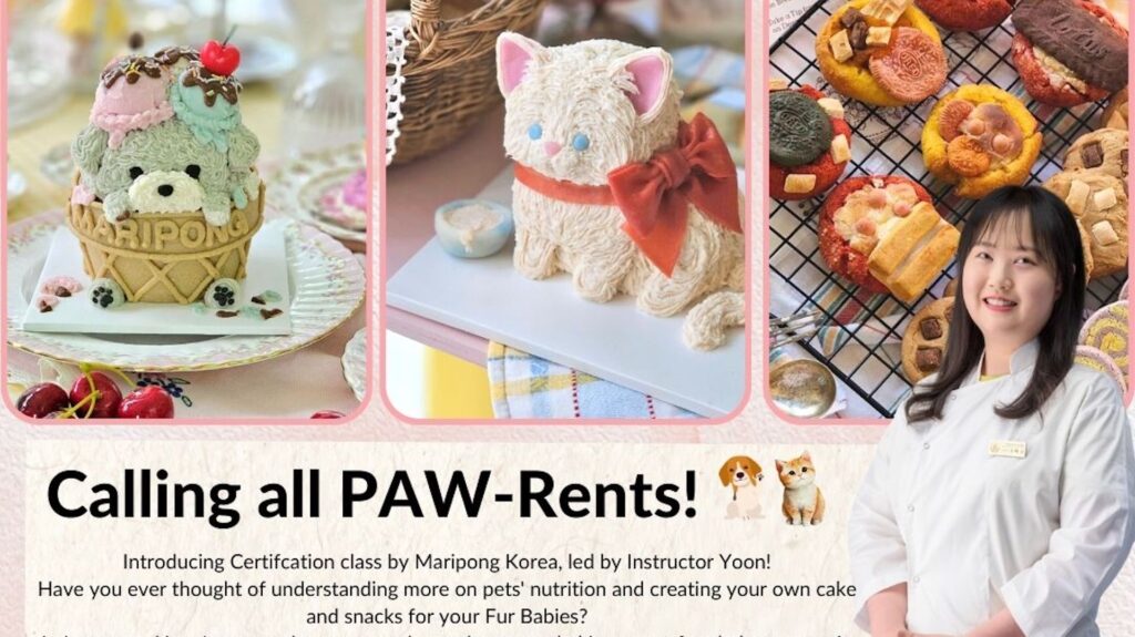 International Masterclass by Maripong: Pet Cakes and Snacks masterclass – not free
